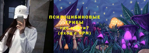 гидра Богородицк