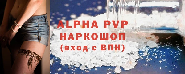 ECSTASY Бородино