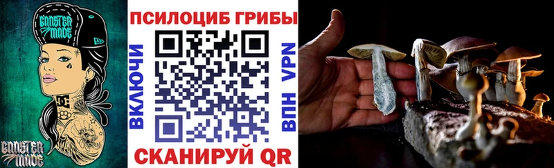 где купить наркоту  Георгиевск  Галлюциногенные грибы Magic Shrooms 